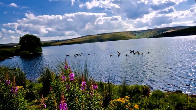 НАШ ОСТРОВ смотреть онлайн