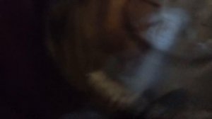 Распаковка — Пылесос Samsung SC18M2130SR