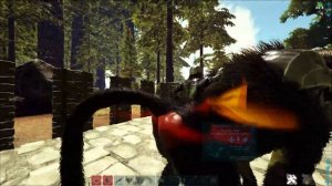 Как тамить динопитека в АРК dinopitekus ark