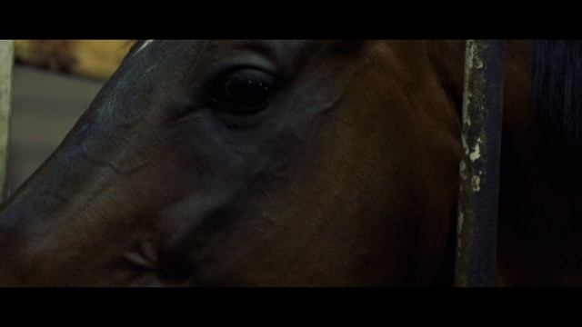 Сбывшаяся мечта