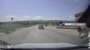 Трасса А-157, Кисловодск - Медовые Водопады, 16.06.2019