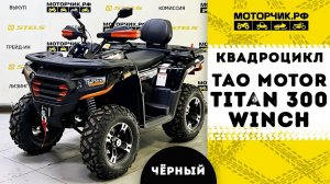 Квадроцикл Tao Motor Titan 300 Winch EFI (Чёрный)