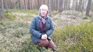Прогулка в весеннем лесу. Степанова Наталья