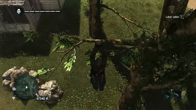 Assassin's Creed 4 - How to get Animus fragment in the tree - Kingston смотреть онлайн