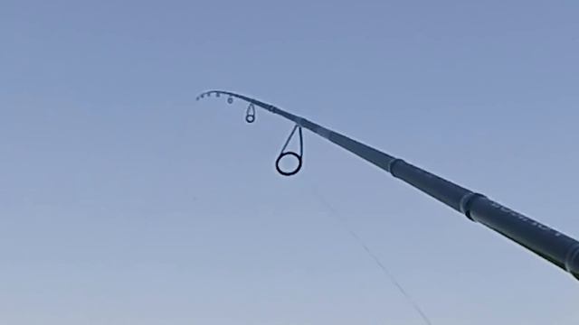 Cпиннинг для лодочного джига. Maximus Advisor 22 ML смотреть онлайн