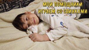 Играем со свинками, приехали племяшки в гости, дегустация клубники