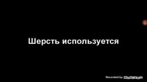 Раскрытие Чики Бамбони и кто она такая