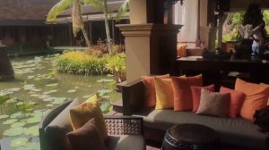 остров Пхукет//Тайланд//пересадка в Абу-Даби// vlog