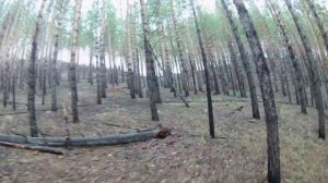 Эндуро. Горы. ДВЗ Улан-Удэ