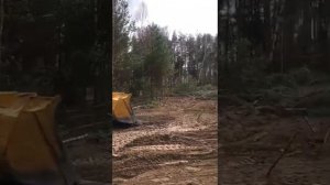 Как профисеонал корчует на погрузчике деревья ???