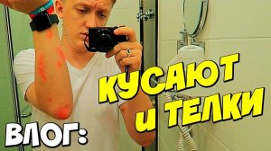 VLOG: НОВАЯ ДЕВОЧКА ВАРПАЧА И ИЗБИВАЮТ НА КВЕСТАХ