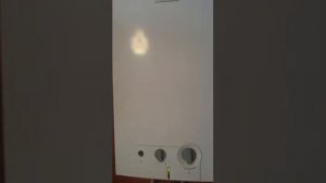 Газовый проточный водонагреватель Bosch Therm 4000 O WR 13