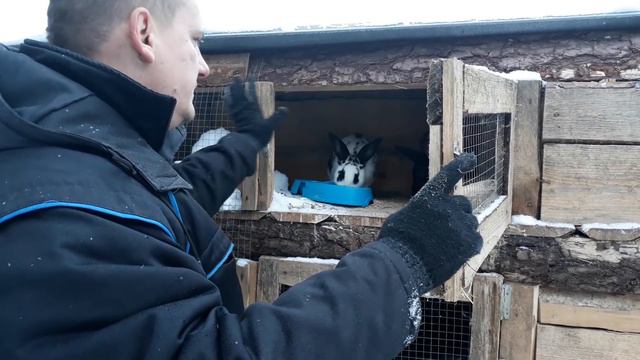 КЛЕТКИ КРОЛИКИ СВОИМИ РУКАМИ. СОДЕРЖАНИЕ, УХОД ПЛЮСЫ И МИНУСЫ. ЛИЧНЫЙ ОПЫТ. смотреть онлайн