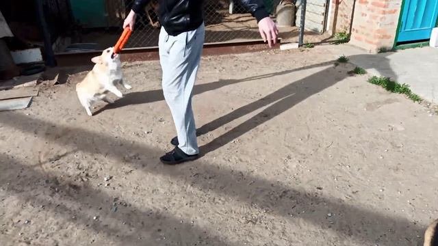 Карусель