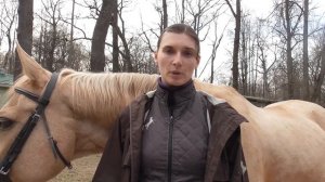 Как заслужить уважение лошади?