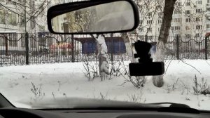 Datakam G5-CITY PRO-BF - автомобильный видеорегистратор с полезными возможностями