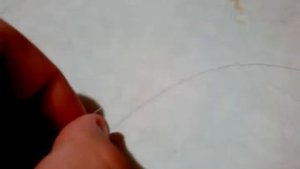 Снасть для ловли карася донка-полудонка.