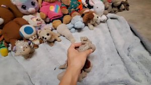 Petunia's Classroom: The Bully...