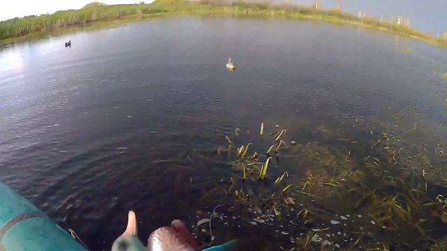 Скупой платит дважды или деньги на ветер (неудачная охота на утку) смотреть онлайн