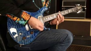 PRS Guitars Paul's Guitar  •  SN: 13200121