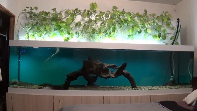 164.Mitsubishi outlander. смотреть онлайн