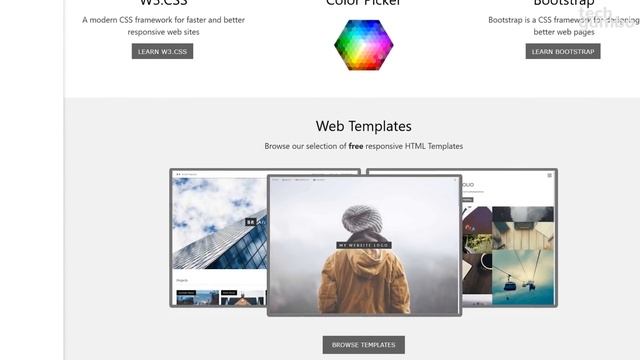 Top 10 Best Websites to Learn Coding for Free!