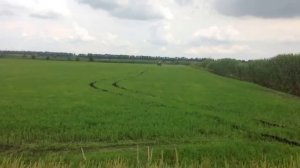 Самоходный опрыскиватель Туман 2 в рисовых чеках