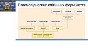 "Сучасна систематика живих організмів у курсі біології 10 класу"