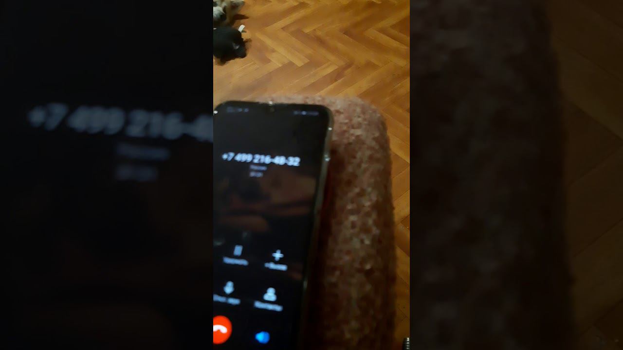 Новый развод золото, палладий, а Бузкойнов нет!!! смотреть онлайн