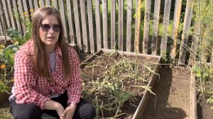 Лук на посадку?