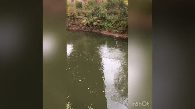 Начало . Магнитная рыбалка .