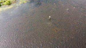 Сплав на лодке по Верхней Волге 2021 г. Рыбалка, река и тишина.mp4