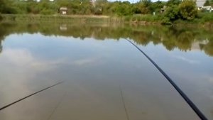 Рыбалка в Ставрополе на дачном пруду по Зеленой роще часть 1