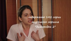 Содержание 142 серии турецкого сериала "Зимородок 2" (РФ, 2023)