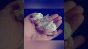 Акафист покаянный жен, загубивших детей во утробе своей.