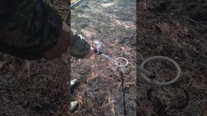 Реальный тест, МД Рам 5 действительно в самый раз для поиска металла.