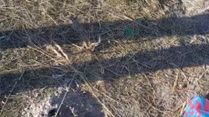 ЭХОЛОТ Lucky FF1108-1CT. Обзор и ТЕСТ с берега +обзор НОВОГО СНАРЯЖЕНИЯ! Нашли ЯКОРЬ на БЕРЕГУ!!!