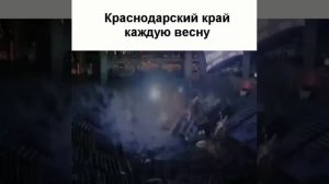 Именно так и выглядят некоторые жители городов
