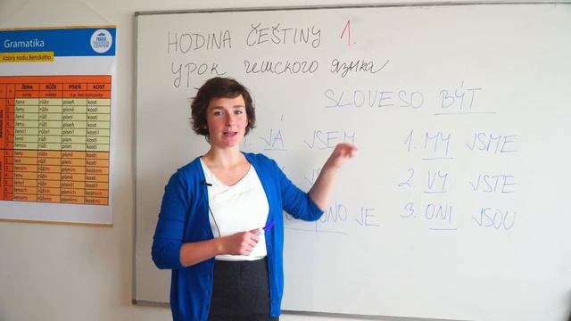 Вводный урок чешского языка с носителем | Prague Education Center