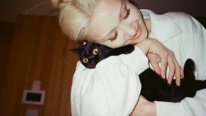 Cancellation of lessons☆ отмена уроков саблиминал