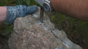 ПАРК ЮРСКОГО ПЕРИОДА В ЛЕНИНГРАДСКОЙ ОБЛАСТИ/ОХОТИМСЯ НА ТРИЛОБИТОВ