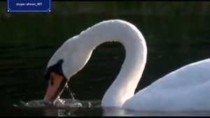Goygol National Park~ Национальный парк Гёйгёль ~ Göygöl Milli Parkı .