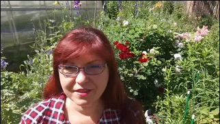 Моя дача в Сибири. Что растет у нас на севере?