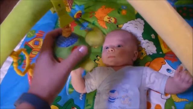 Бельчонок. Разговорчики №5 Коврик и Черепашка смотреть онлайн