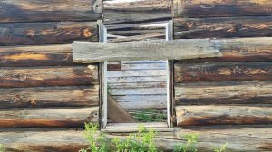 День 22. Хулугунэй - Кочерикова. Онгурён, легенда о шаманке, мёртвая деревня Кулурта, щитомордник