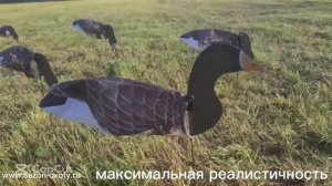 Чучела гусей , флюгера от производителя компании "Сезон-охоты"