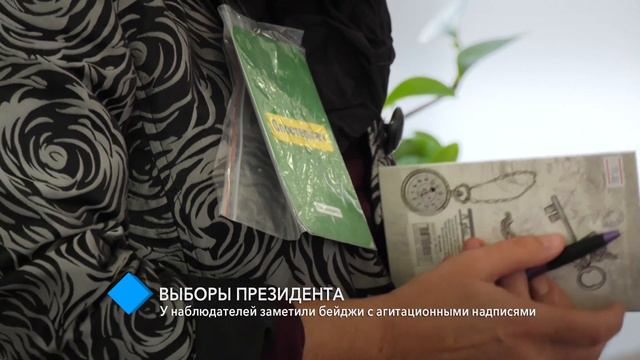 В Приморском районе у наблюдателей заметили бейджи с агитационными надписями смотреть онлайн