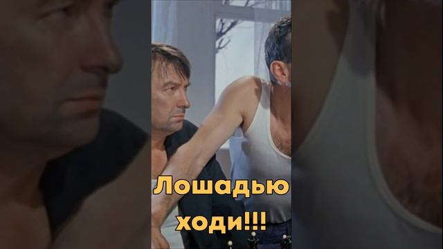 Шахматы из фильма Джентльмены удачи | Лошадью ходи