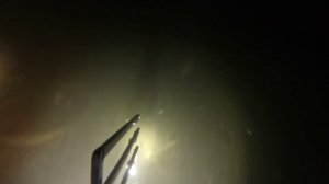 Подводная охота на малых реках Ленинградской области