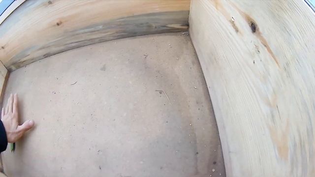 Зимний теплый дом для Кошки смотреть онлайн